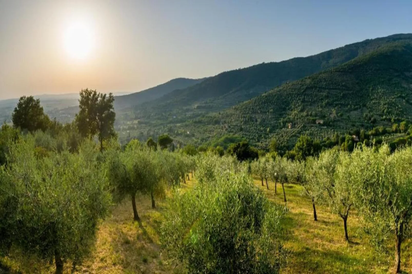 Eremo di Fieri-Gebiete Sommer 5 km