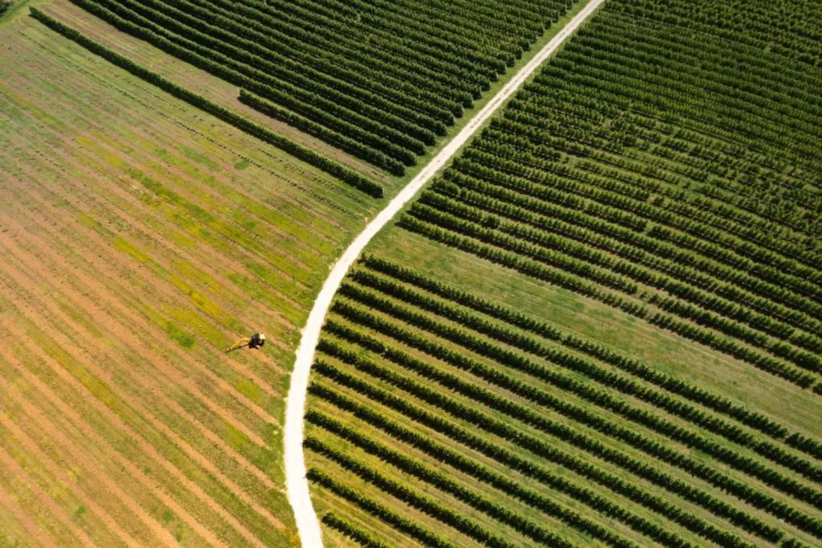 Castagno del Riccio-Areas within 5km in summer