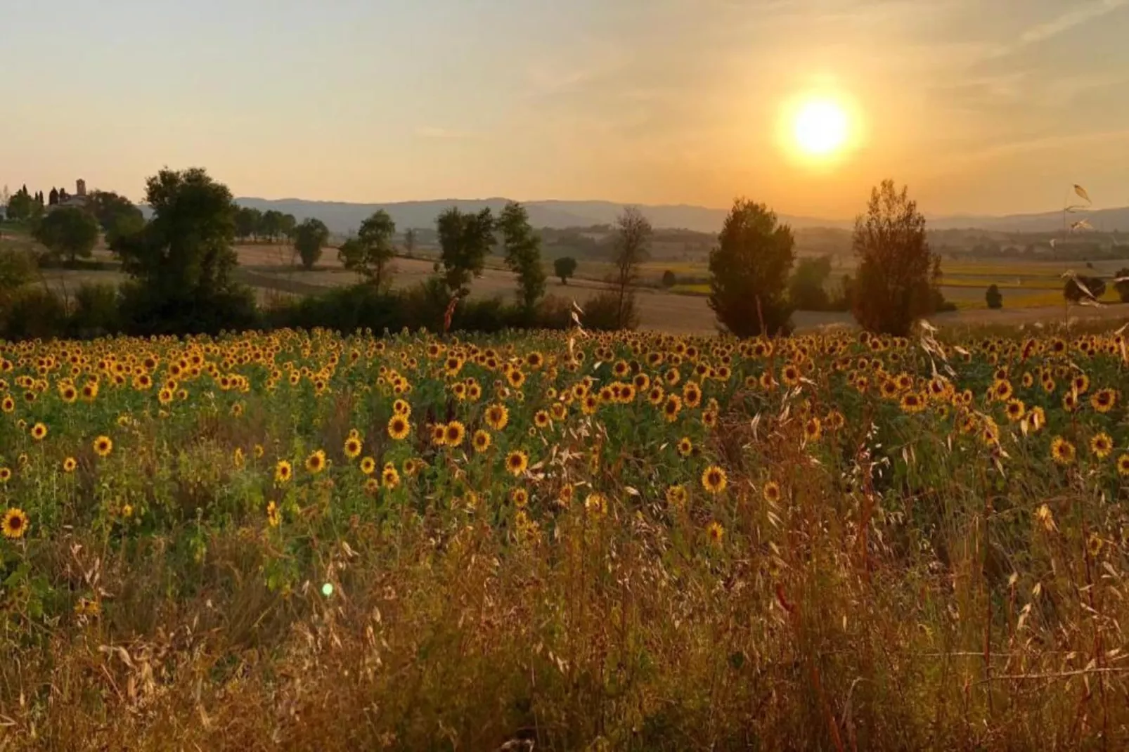 Casa Ilenia-Gebiete Sommer 20 km