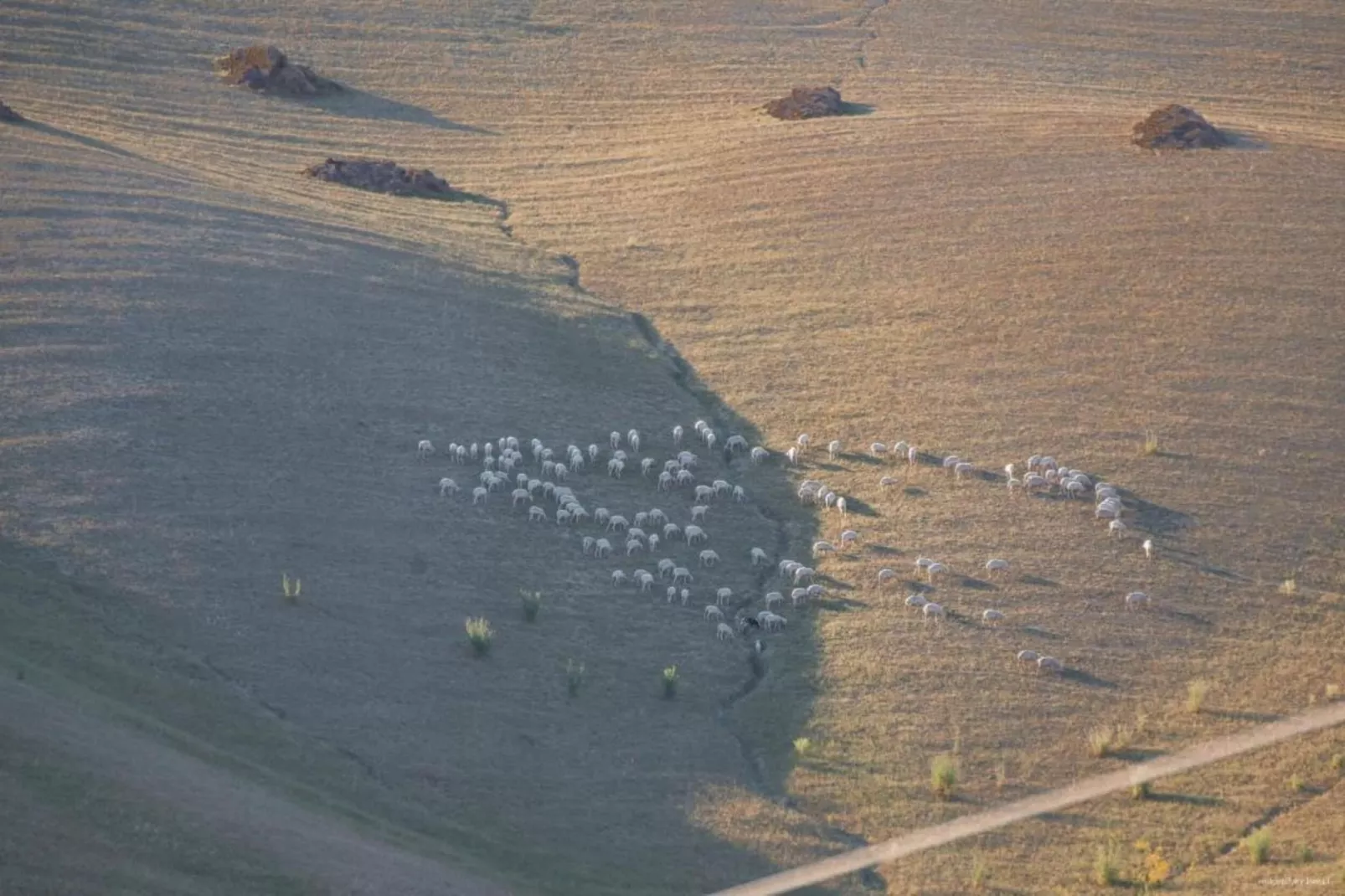 Ginestra1-Areas within 20km in summer