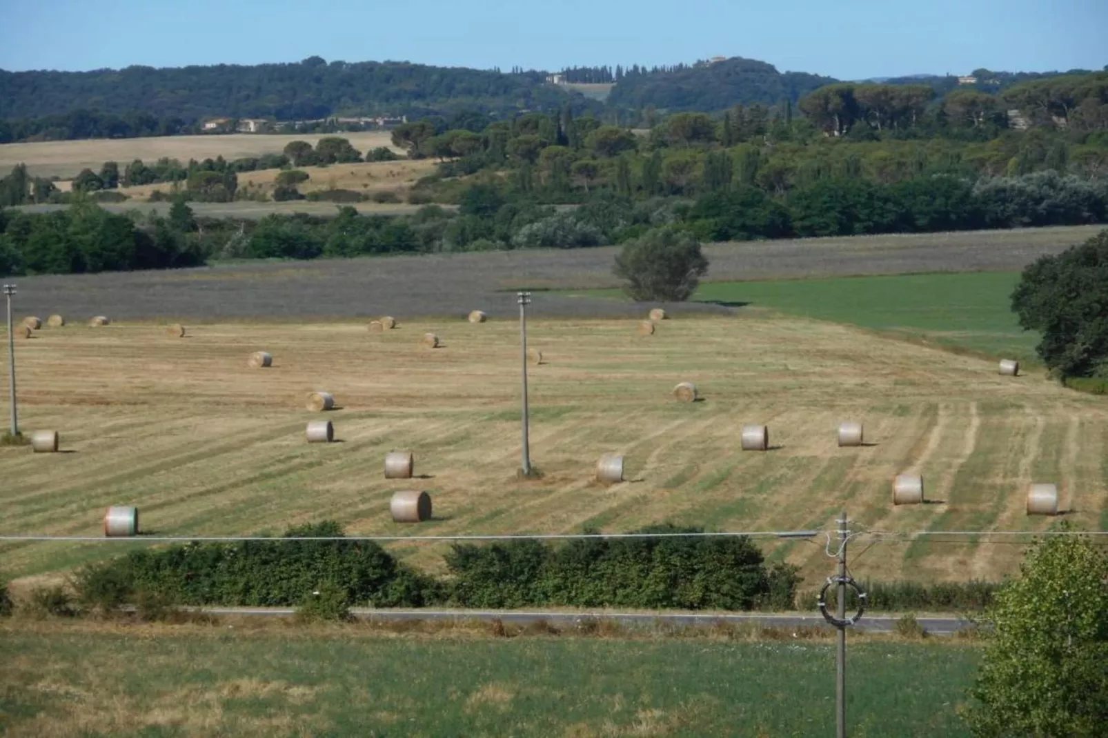 Matilde-Areas within 5km in summer