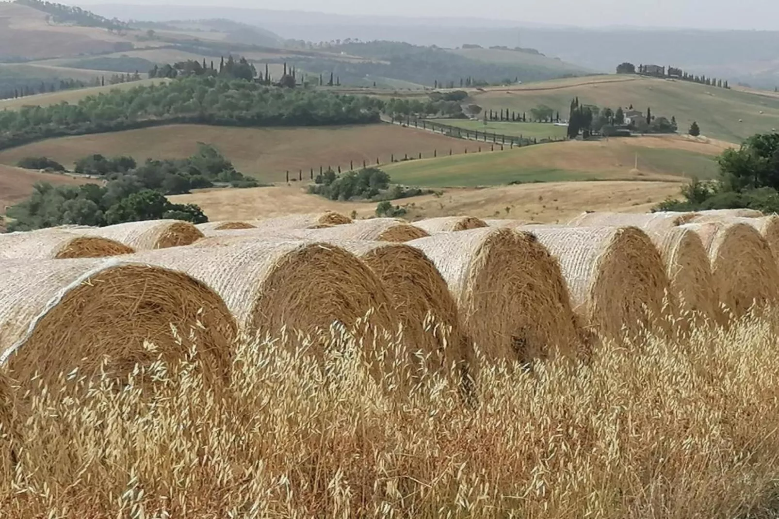 Armaiolo-Areas within 5km in summer