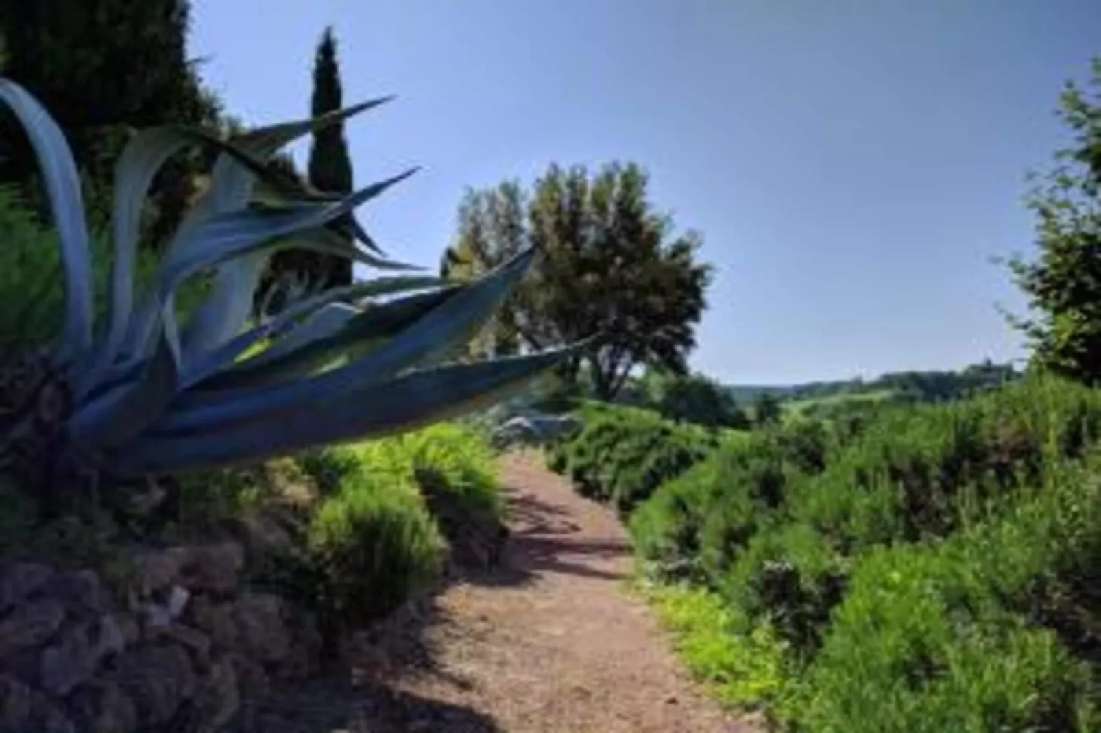 Poggio Casale-Areas within 20km in summer