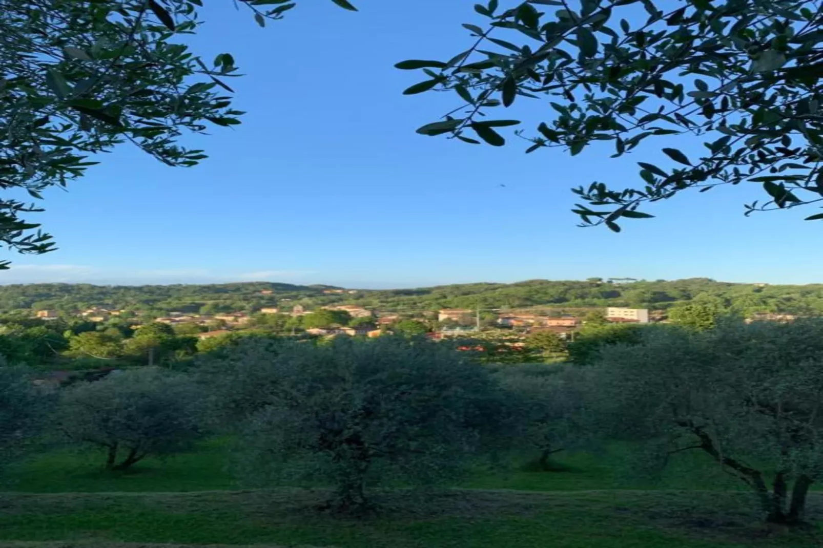 Collina Lagomare-Areas within 20km in summer