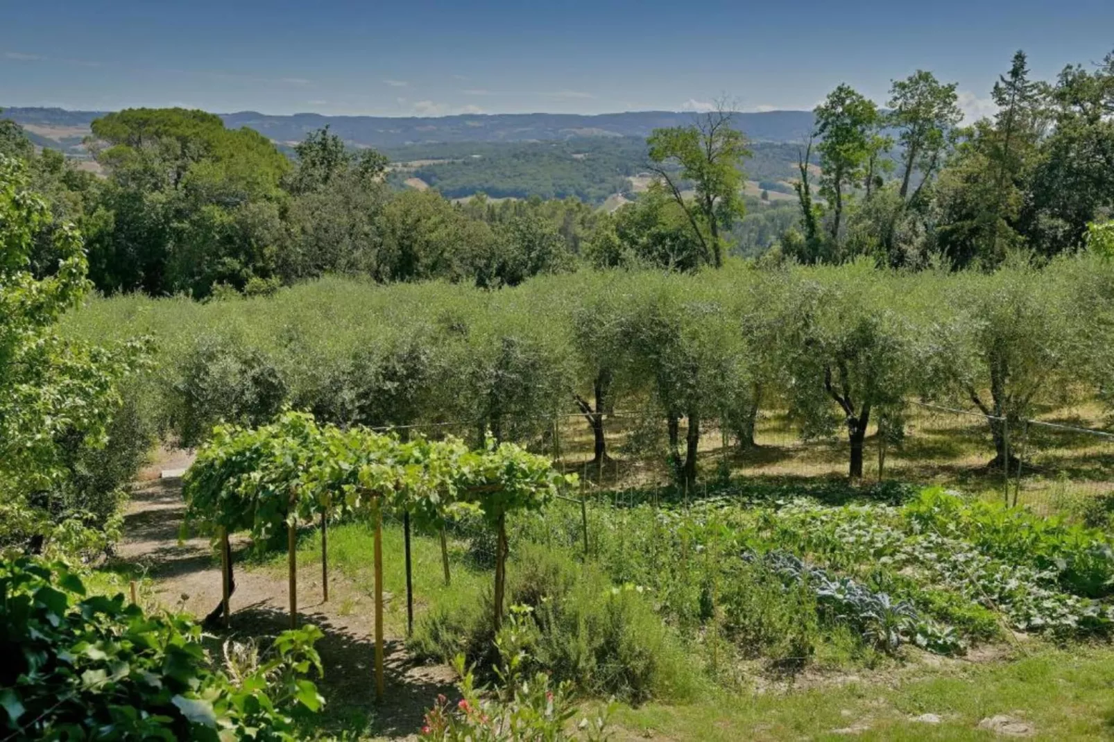 Villa Celli-Gebiete Sommer 5 km