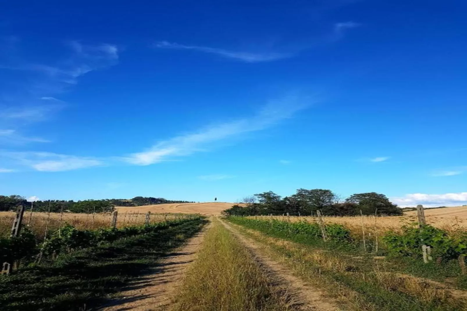 Ciclamino-Gebiete Sommer 5 km