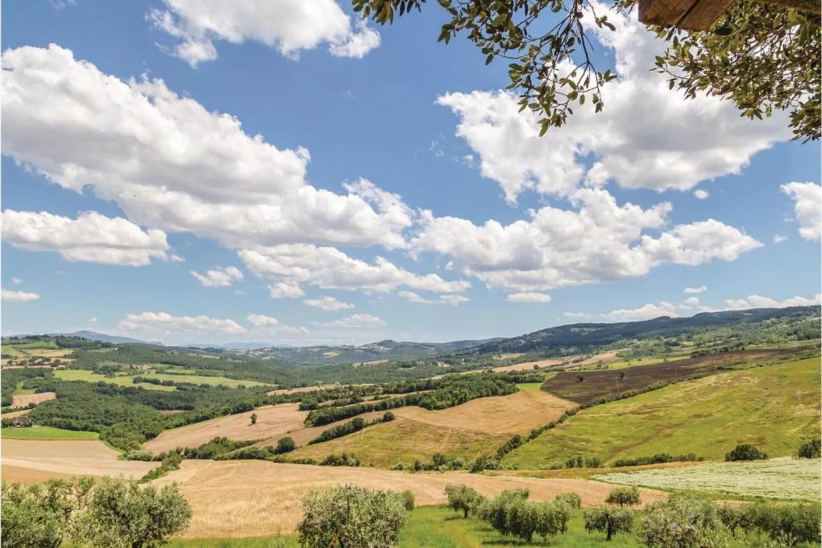 Cucciolo-Areas within 20km in summer
