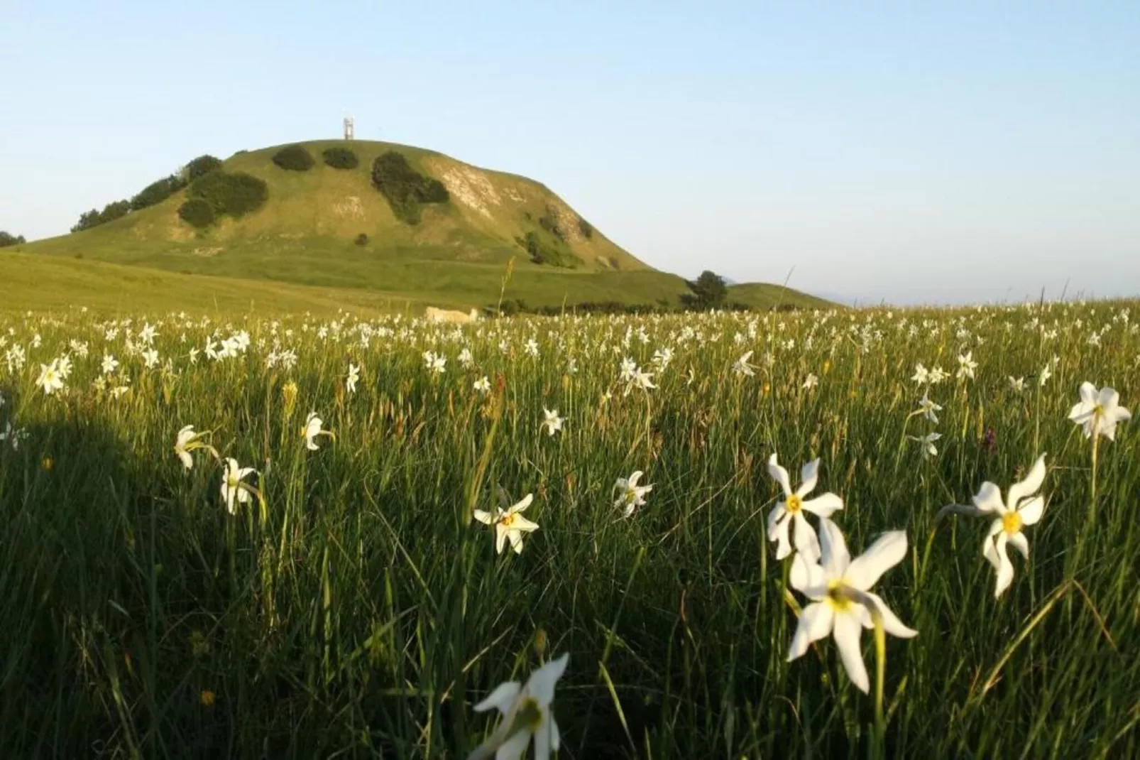 Raggio di Sole Aurora-Areas within 20km in summer