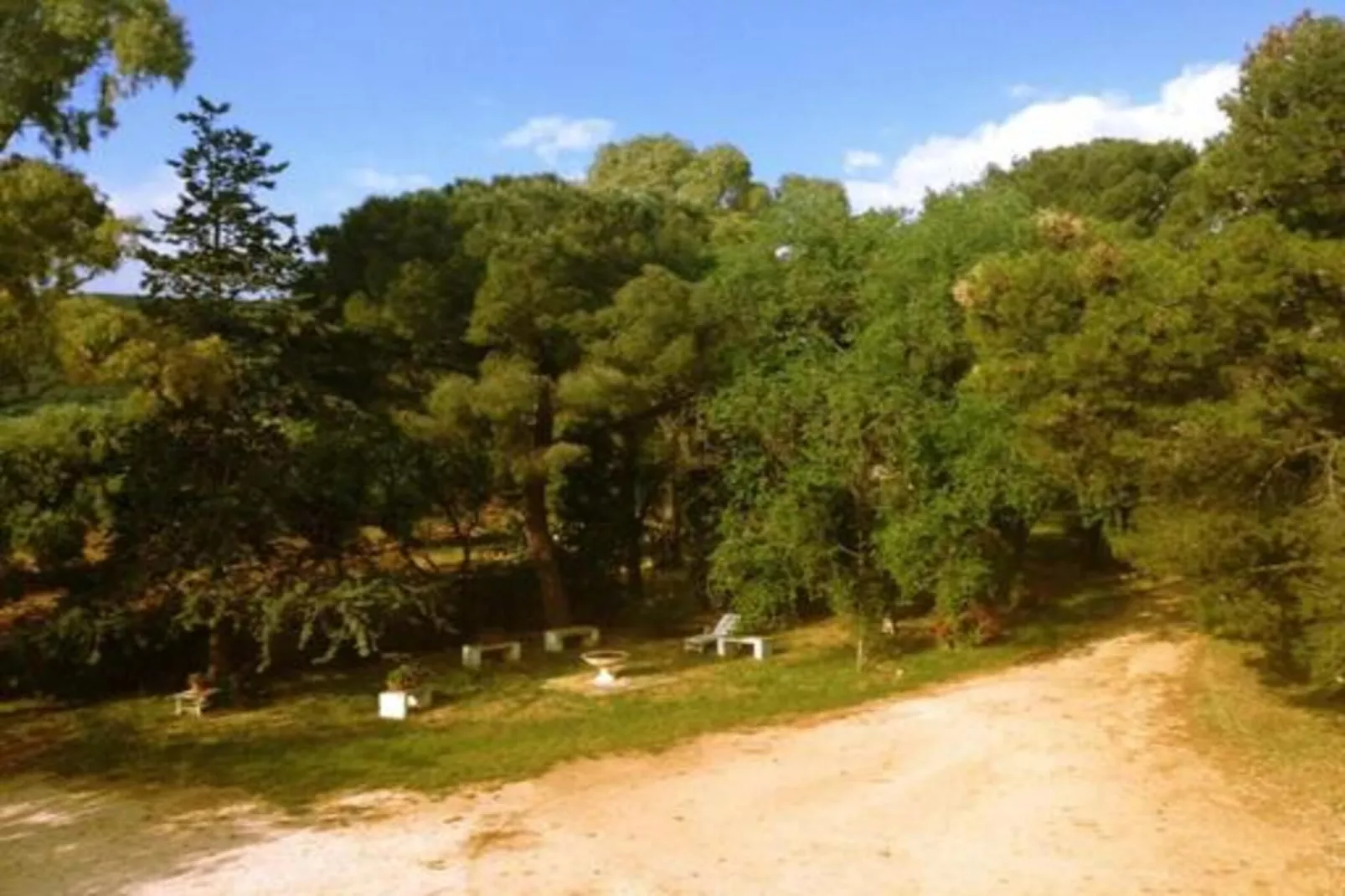Il Tesoro-Areas within 20km in summer