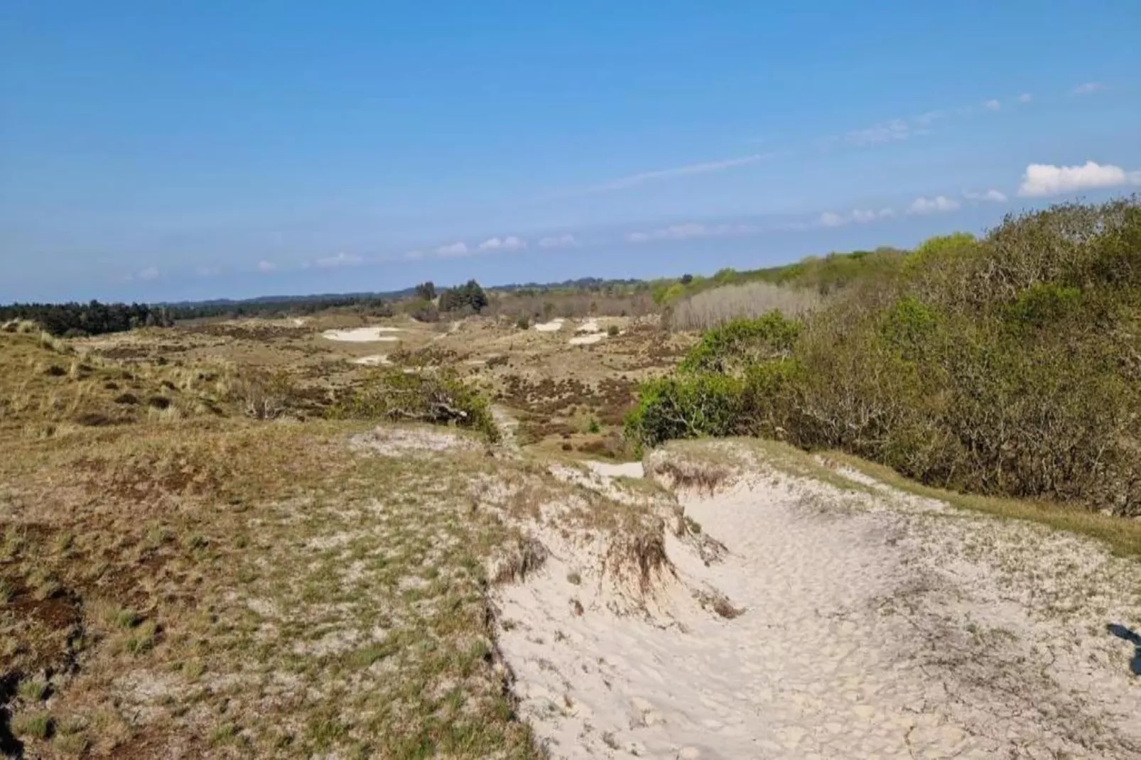 Romantisch Heiloo-Areas within 20km in summer