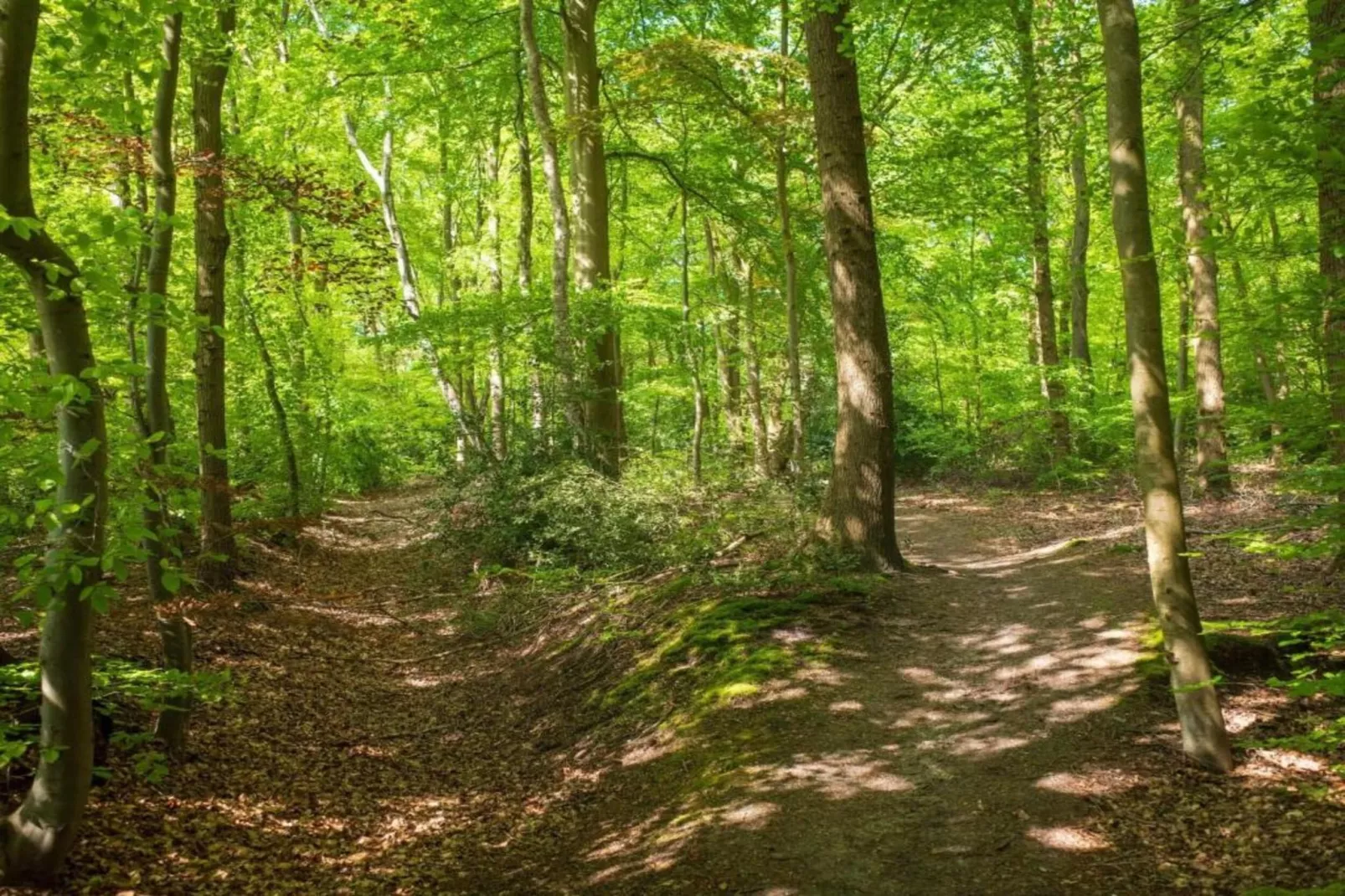 Kukeluusje-Gebiete Sommer 20 km