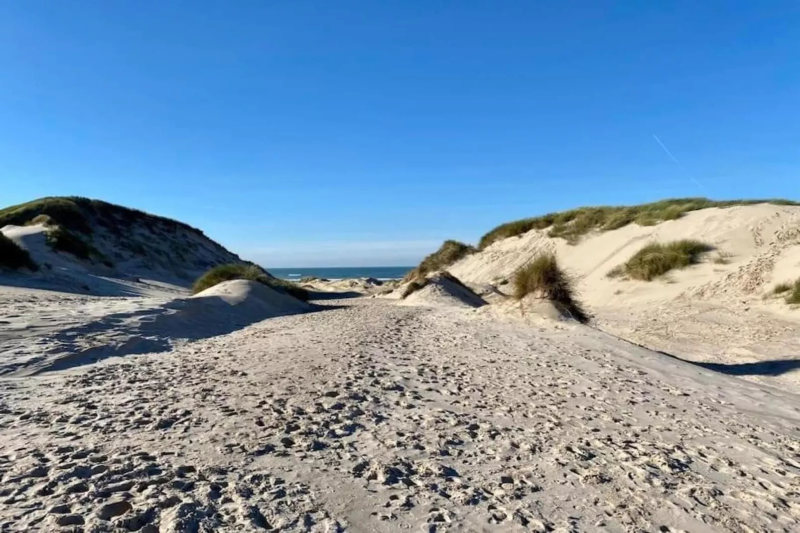 Another Day in Paradise-Areas within 20km in summer