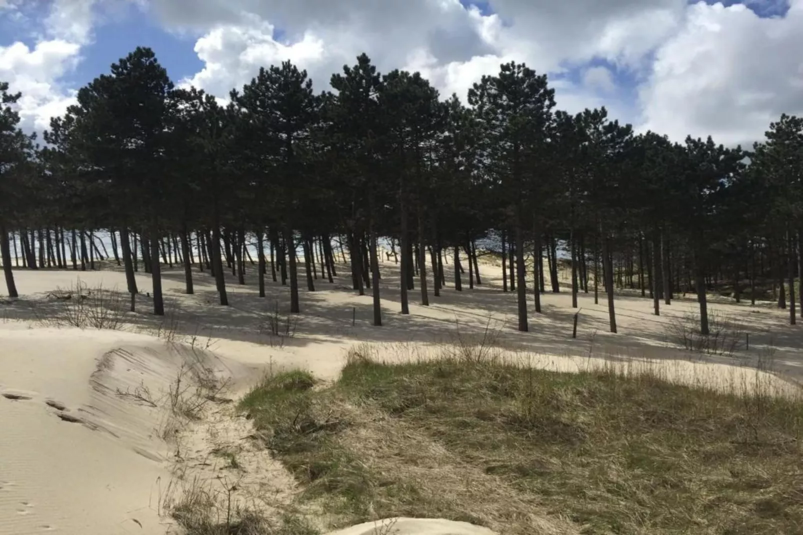 De Beukelaar 2pers-Areas within 20km in summer