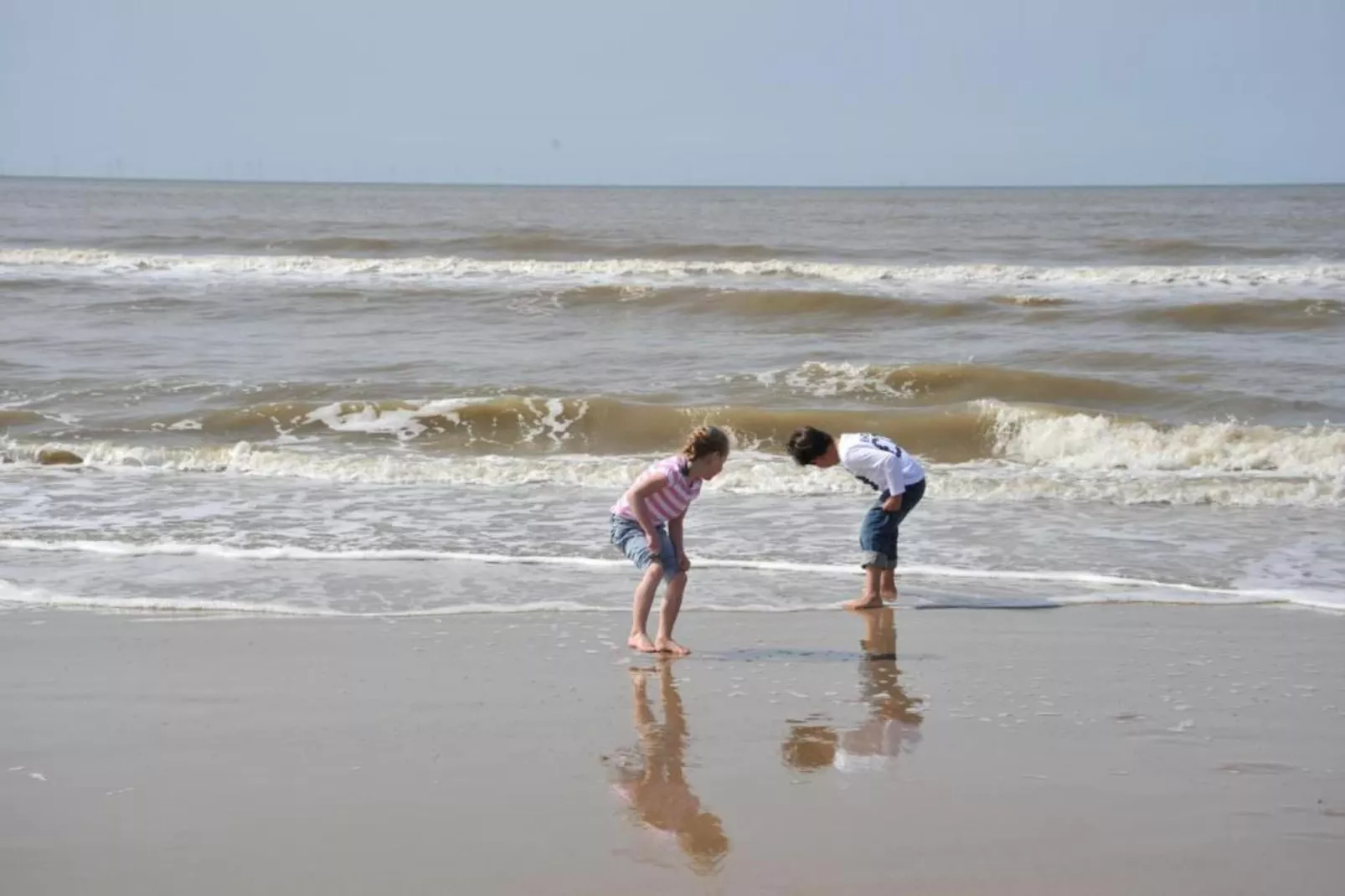 Kustpark Egmond aan Zee 4-Areas within 20km in summer
