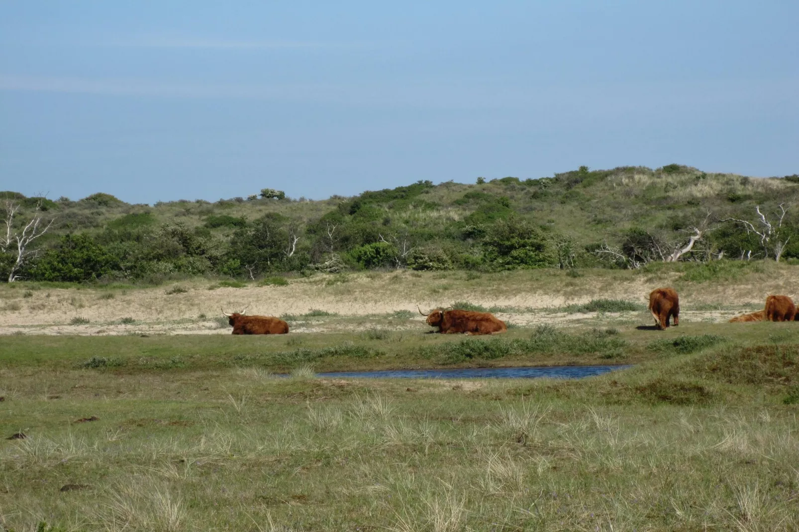 Sea Lodges Zandvoort 5-Gebiete Sommer 20 km