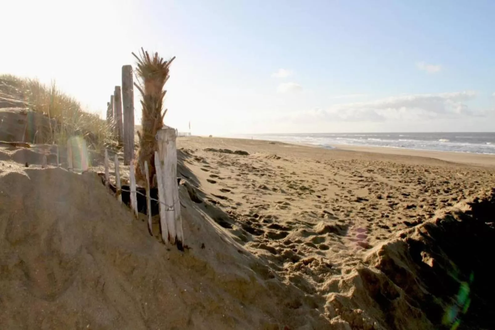 Walhalla aan Zee-Areas within 20km in summer