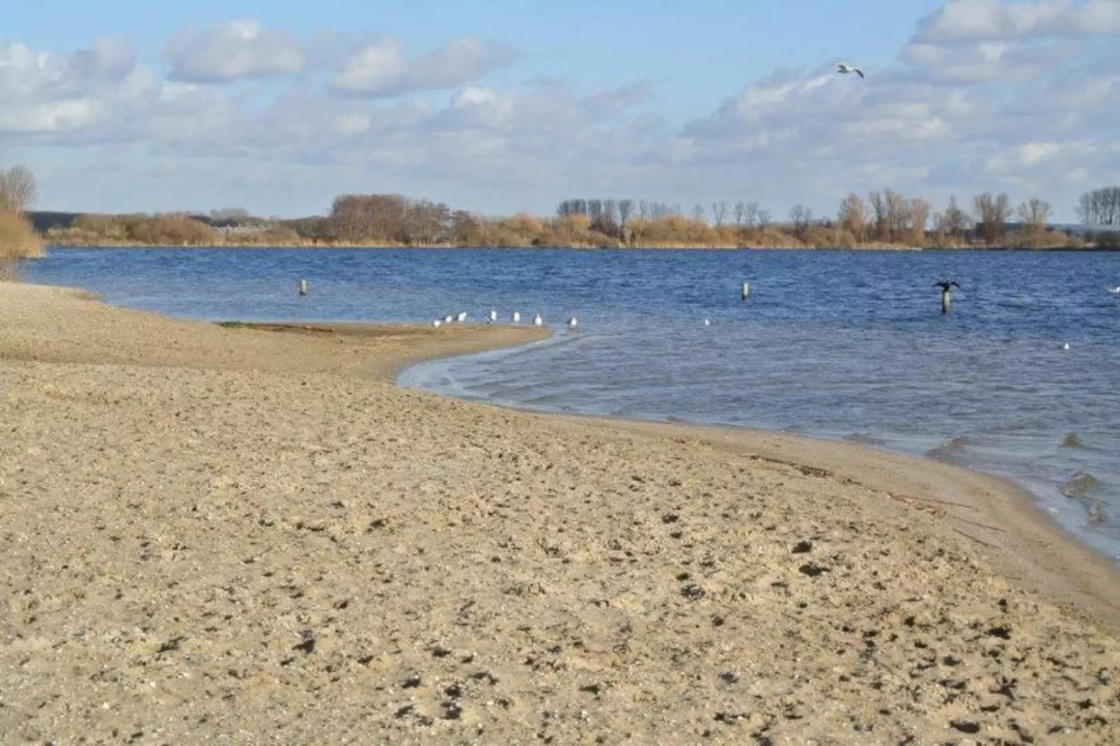 Calm Breeze-Gebiete Sommer 5 km