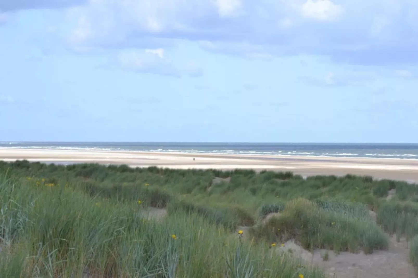 Strandpark Duynhille 4-Areas within 1km in summer