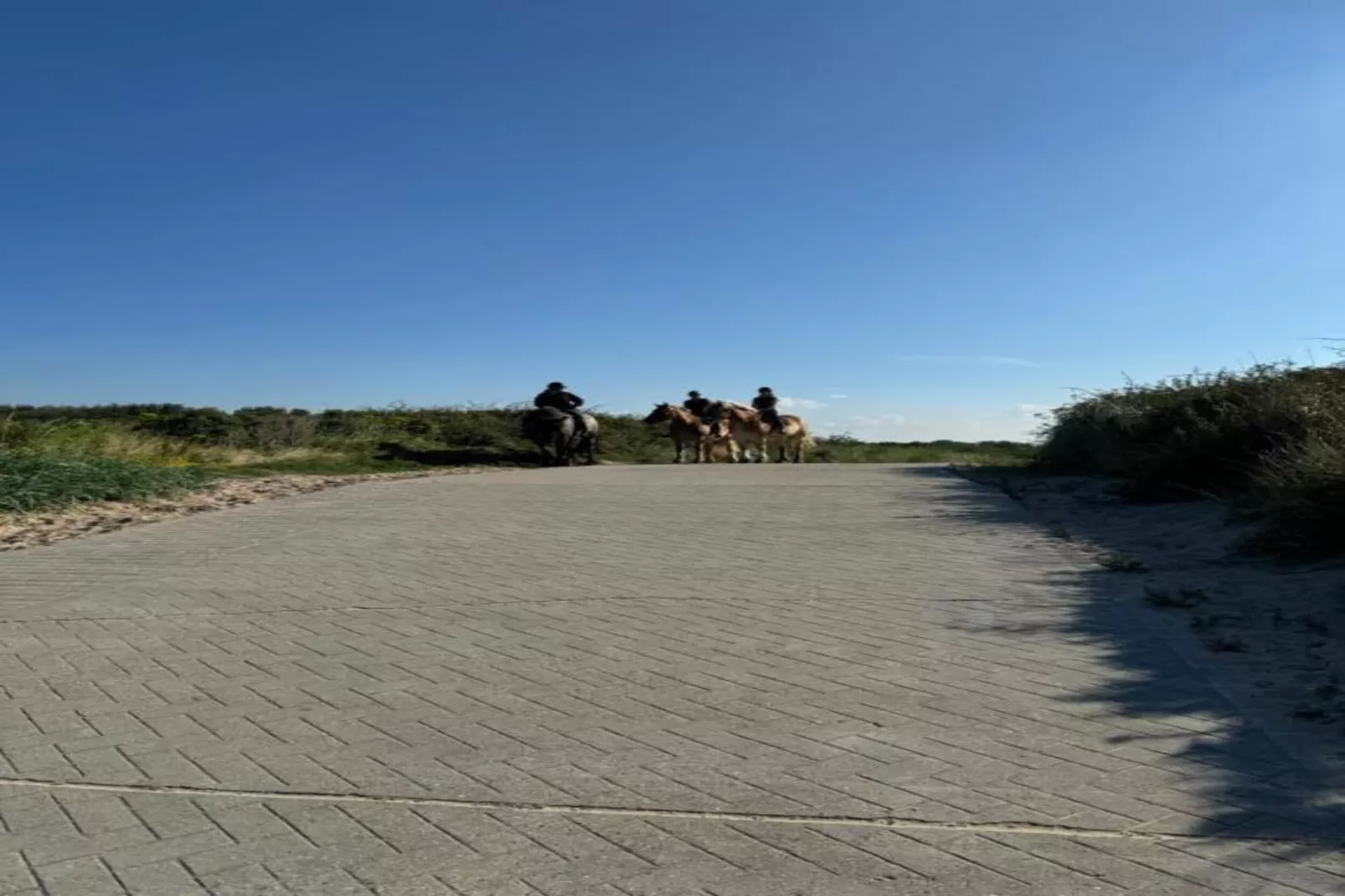 Noordzee Résidence Dishoek 4-Areas within 5km in summer