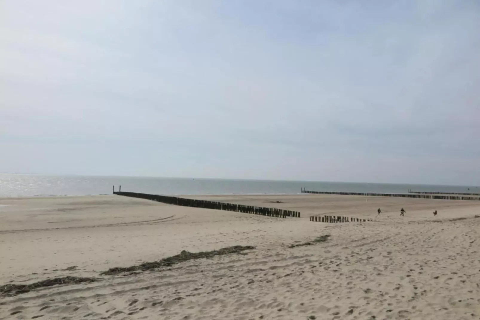 Noordzee Résidence Dishoek 8-Gebiete Sommer 5 km