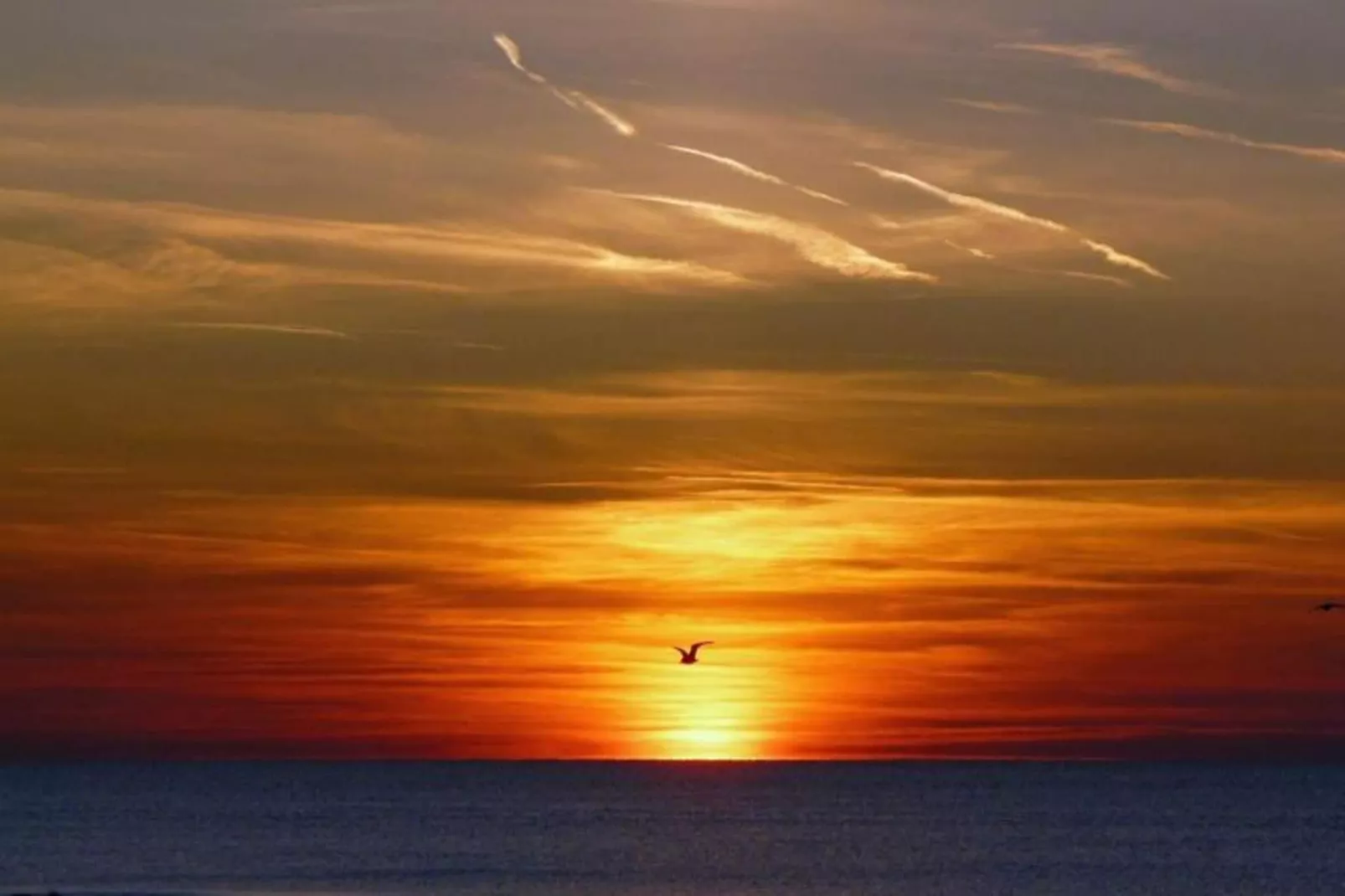 Uit en Thuis aan Zee-Areas within 20km in summer