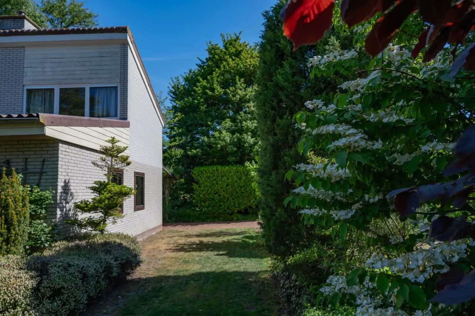 Wilgenlaan 1-Exterior in summer