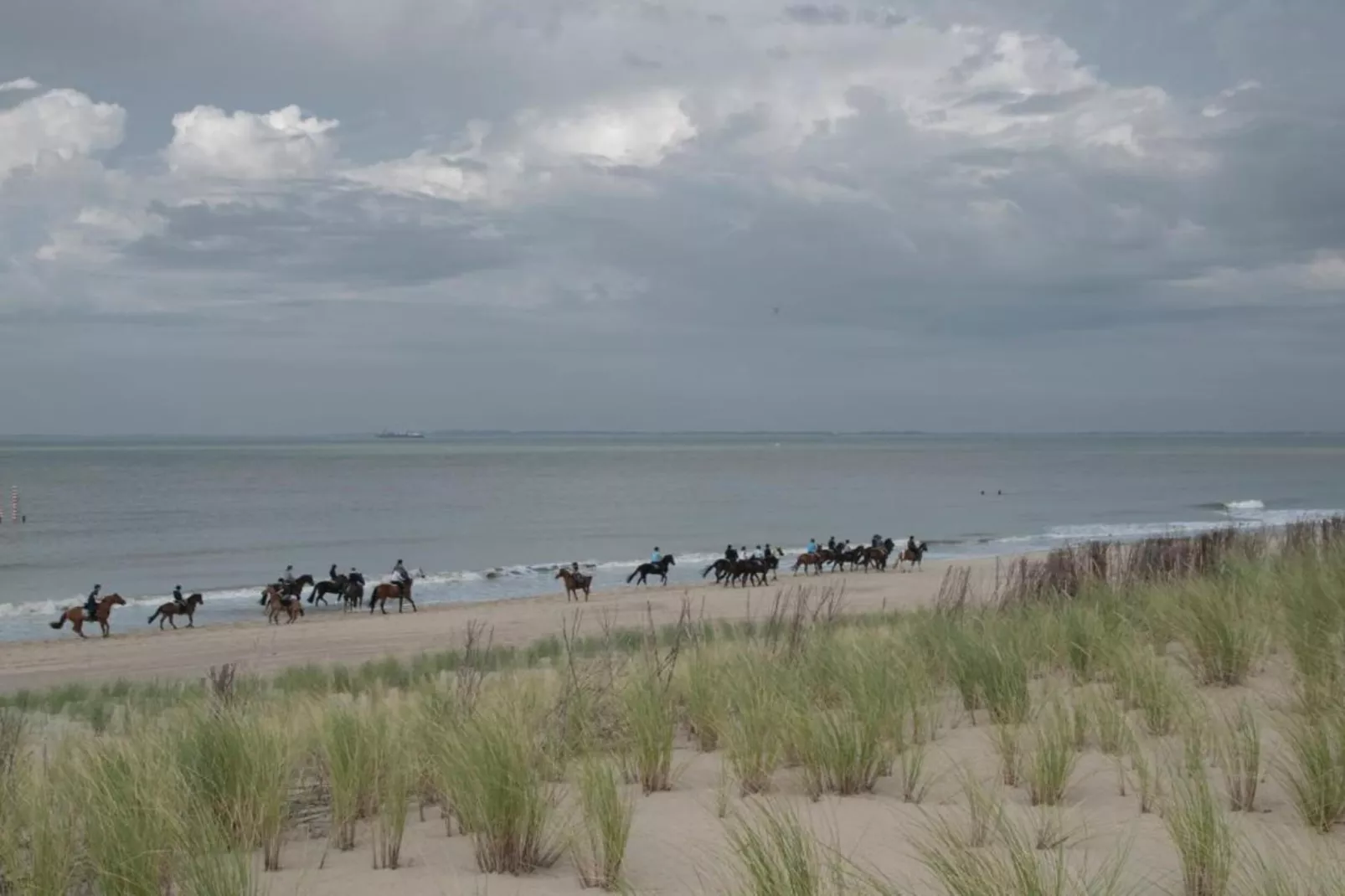 Groot Hof ter Zand-Areas within 20km in summer