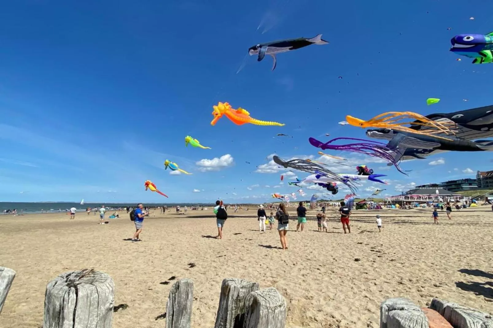 Beach Resort Nieuwvliet-Bad 16-Gebiete Sommer 20 km