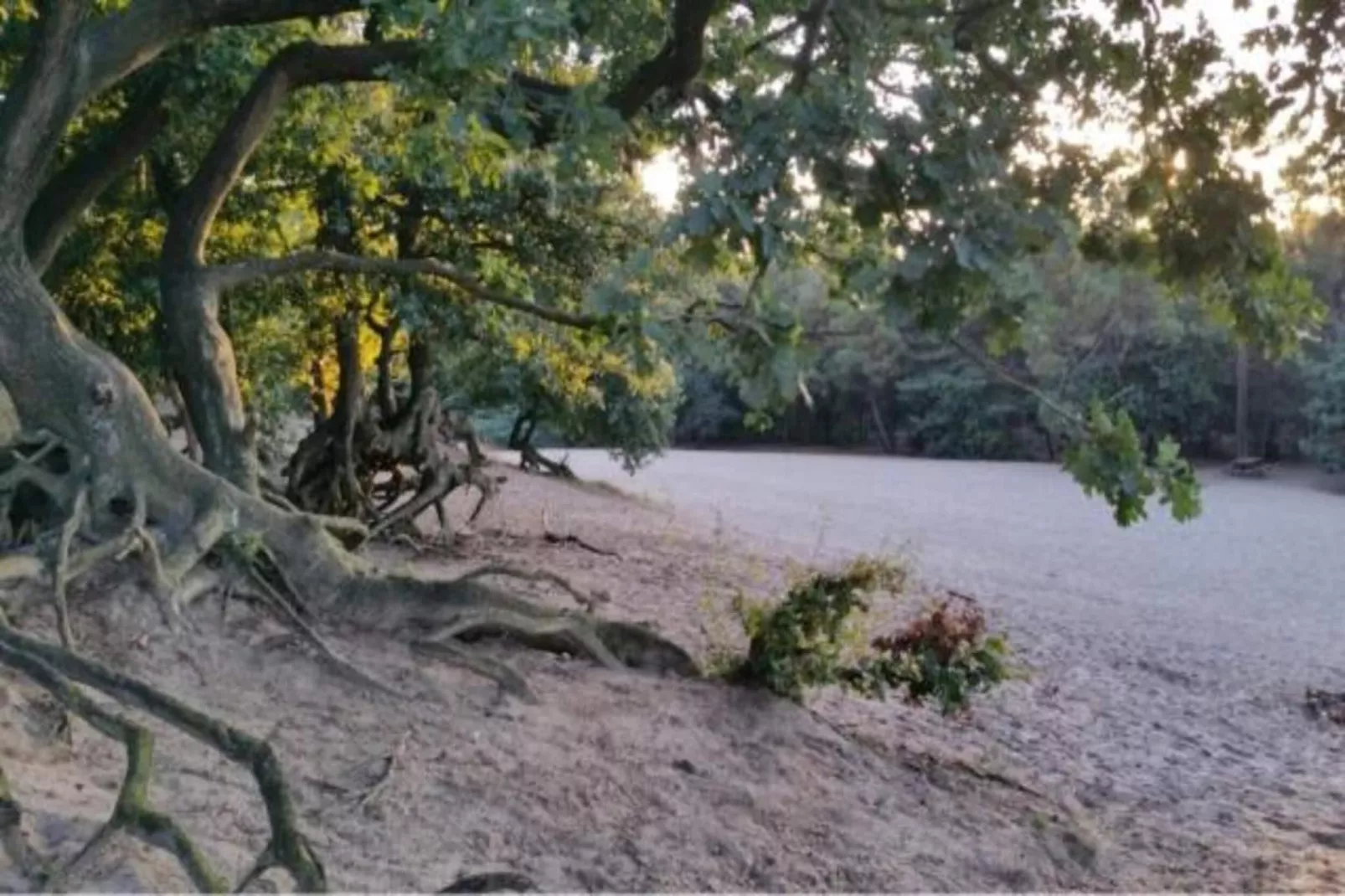 Vakantiepark Sandberghe 1-Areas within 20km in summer