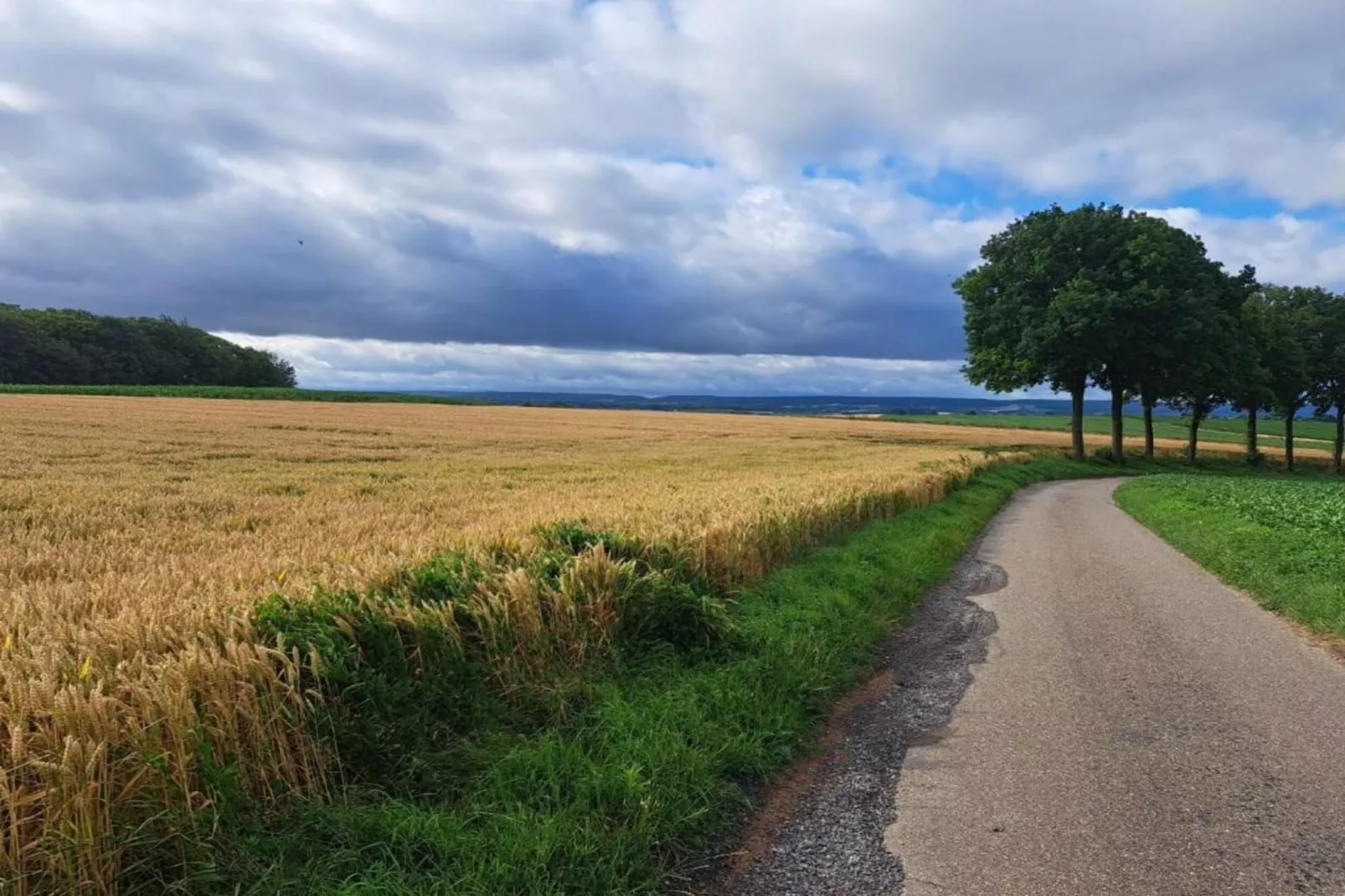 Hoeve A Gen Water- Donderblumke-Gebiete Sommer 20 km