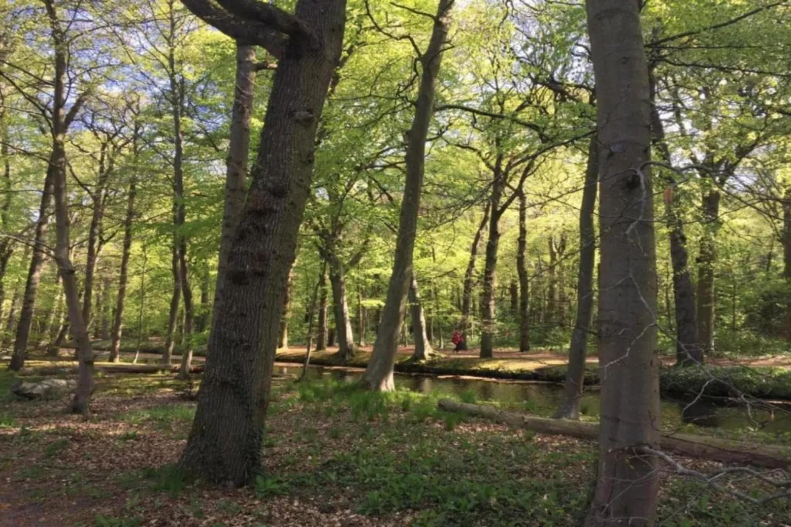 Hof van Craeck II-Zones été à 5 km