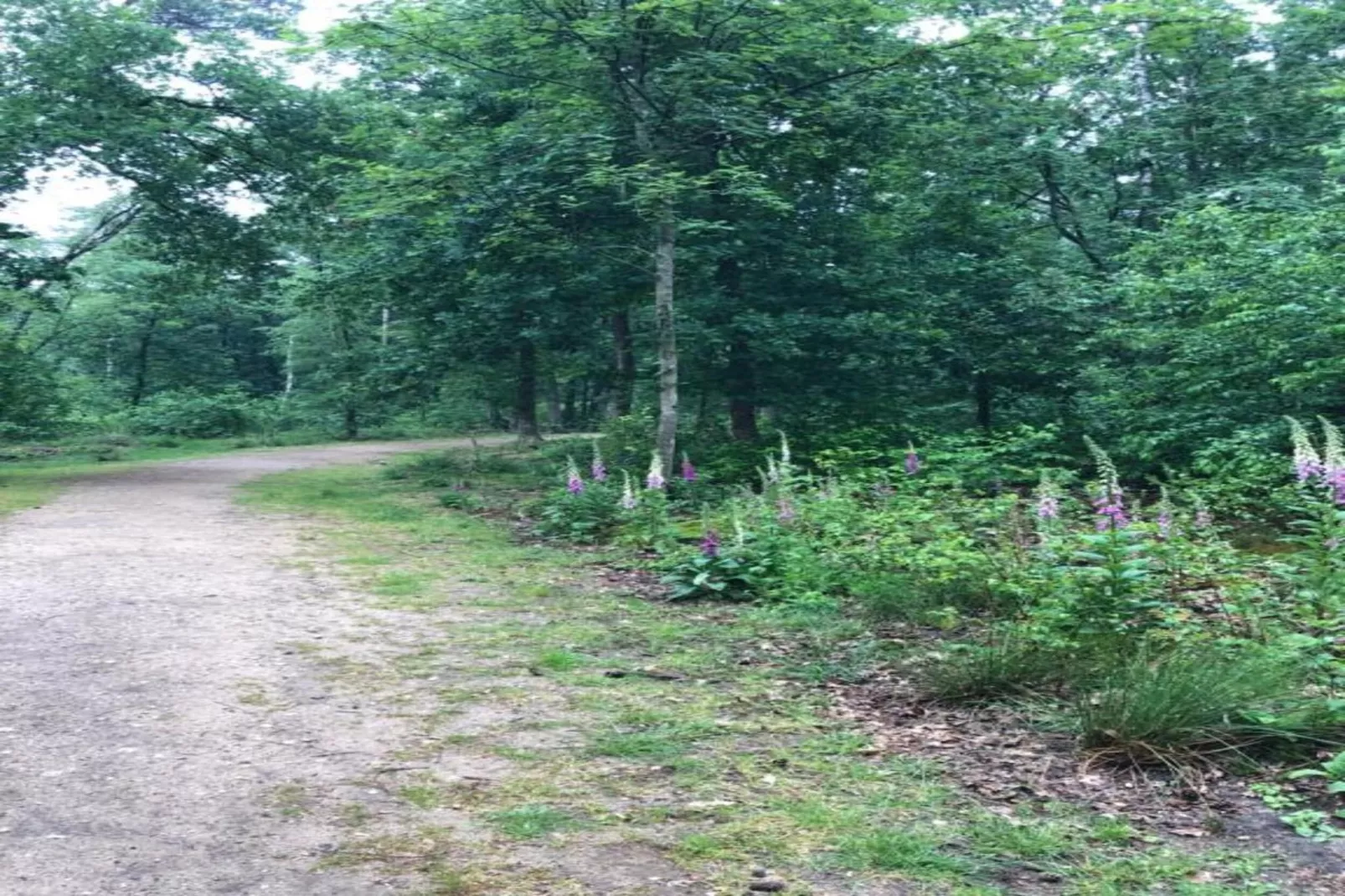 Bungalowpark Hoenderloo 2-Areas within 20km in summer