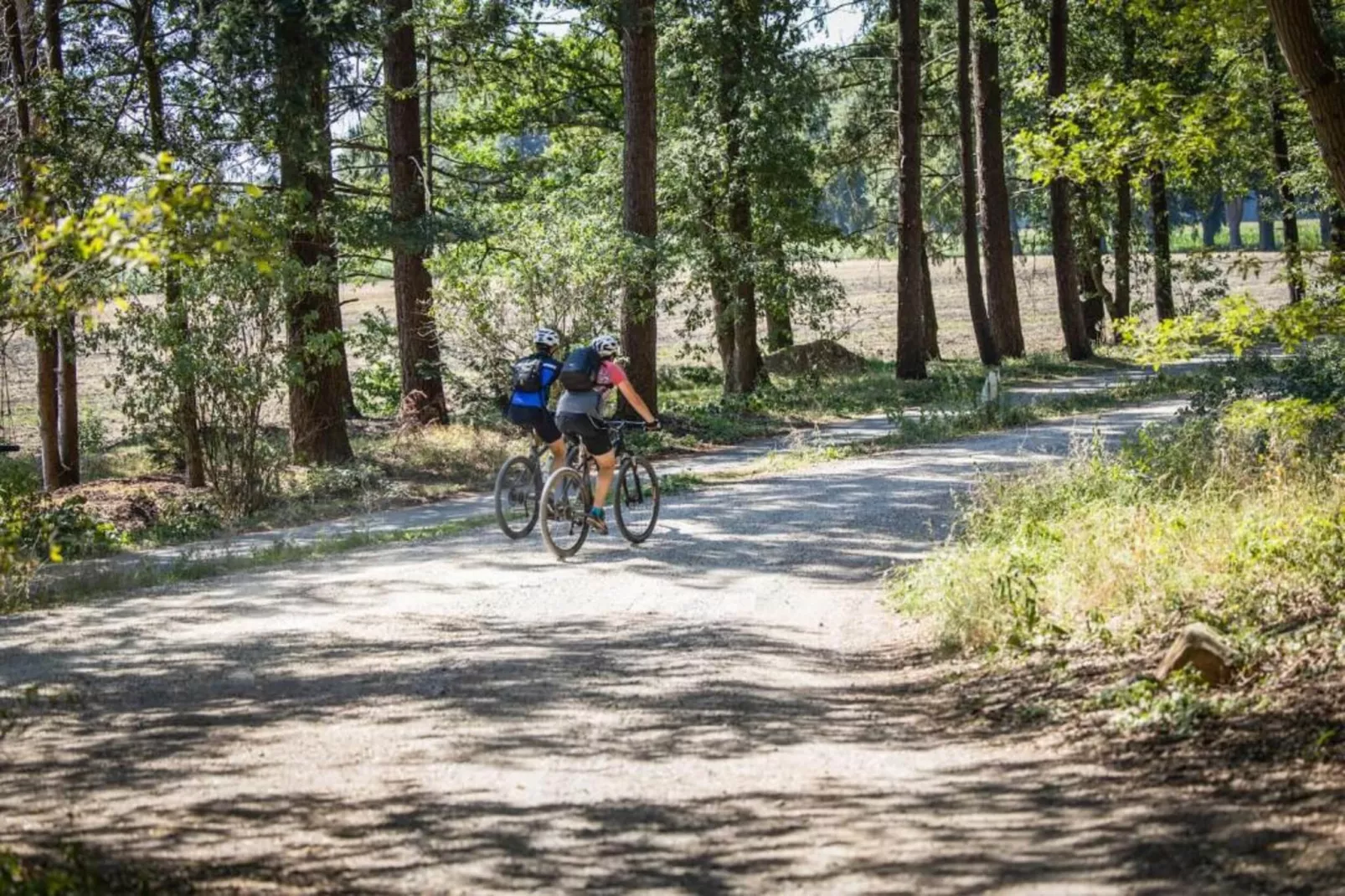 't Kokhuus-Areas within 20km in summer