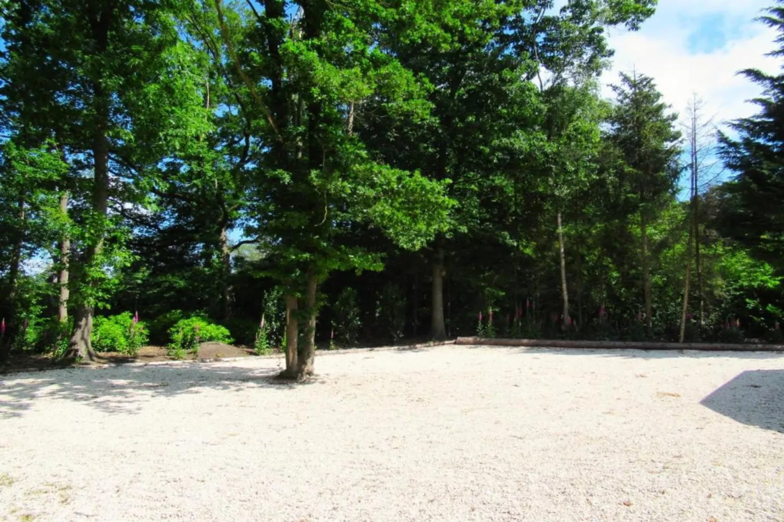 Buitenplaats Holten 8-Areas within 5km in summer