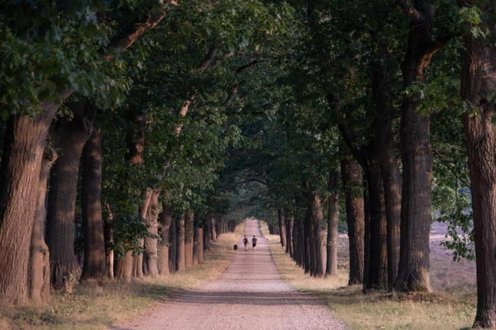 Buitenplaats Holten 17-Areas within 20km in summer