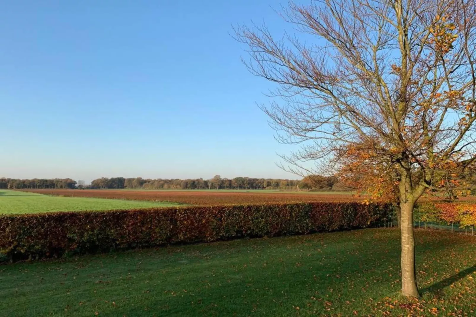 Recreatiepark Tolplas 11-Areas within 5km in summer