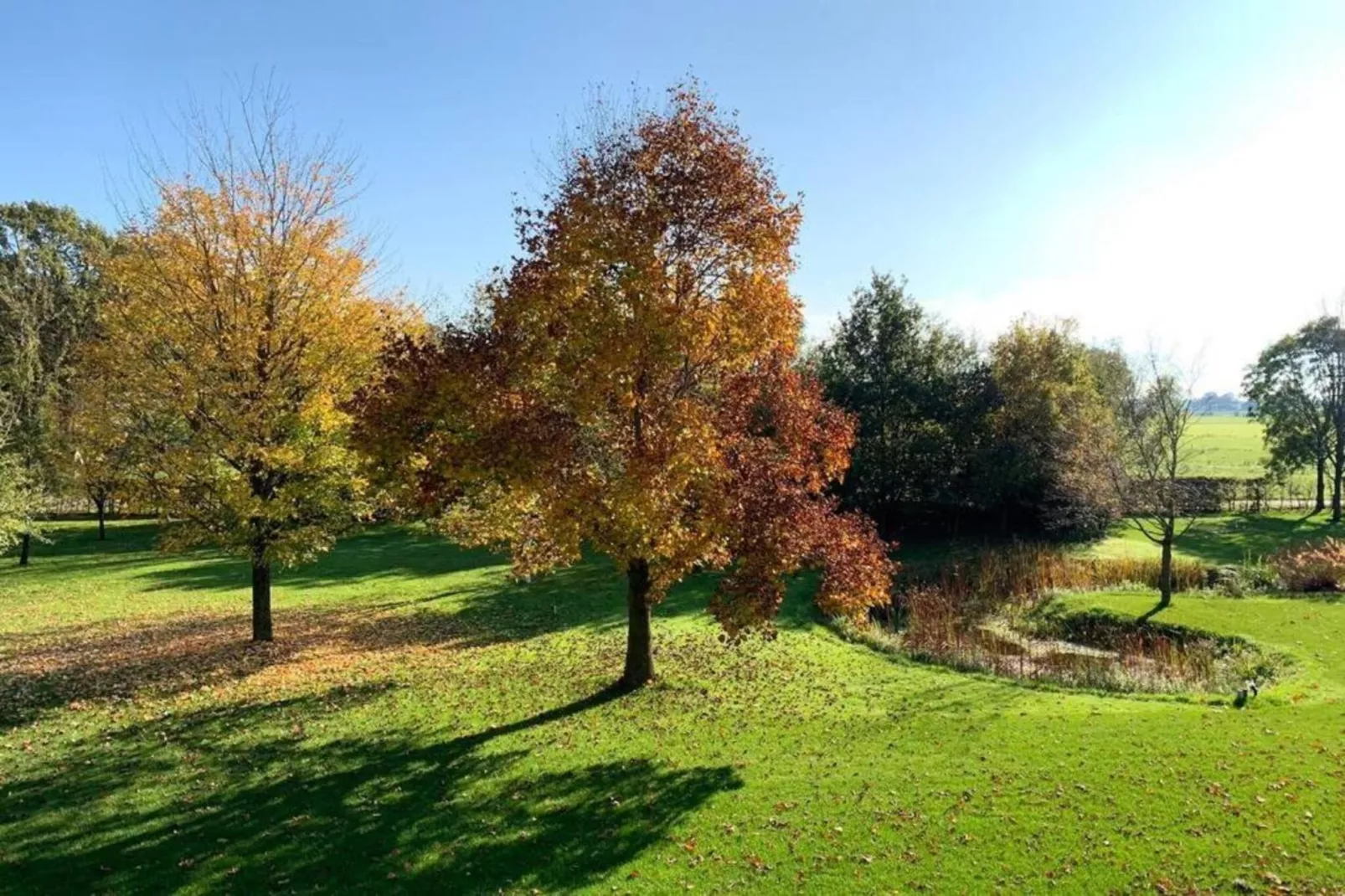 Recreatiepark Tolplas 1-Areas within 5km in summer