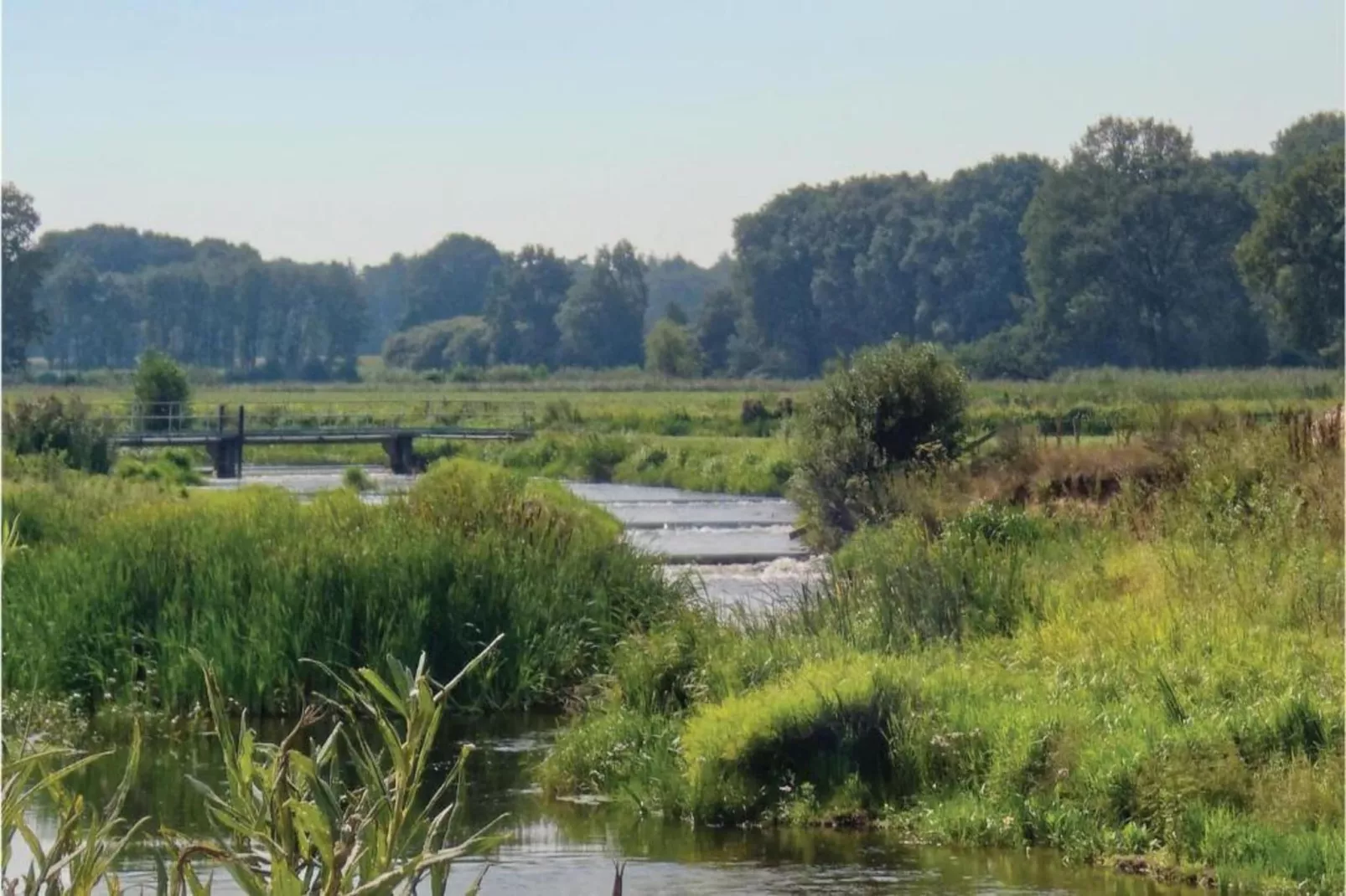 Bunderbos-Areas within 20km in summer