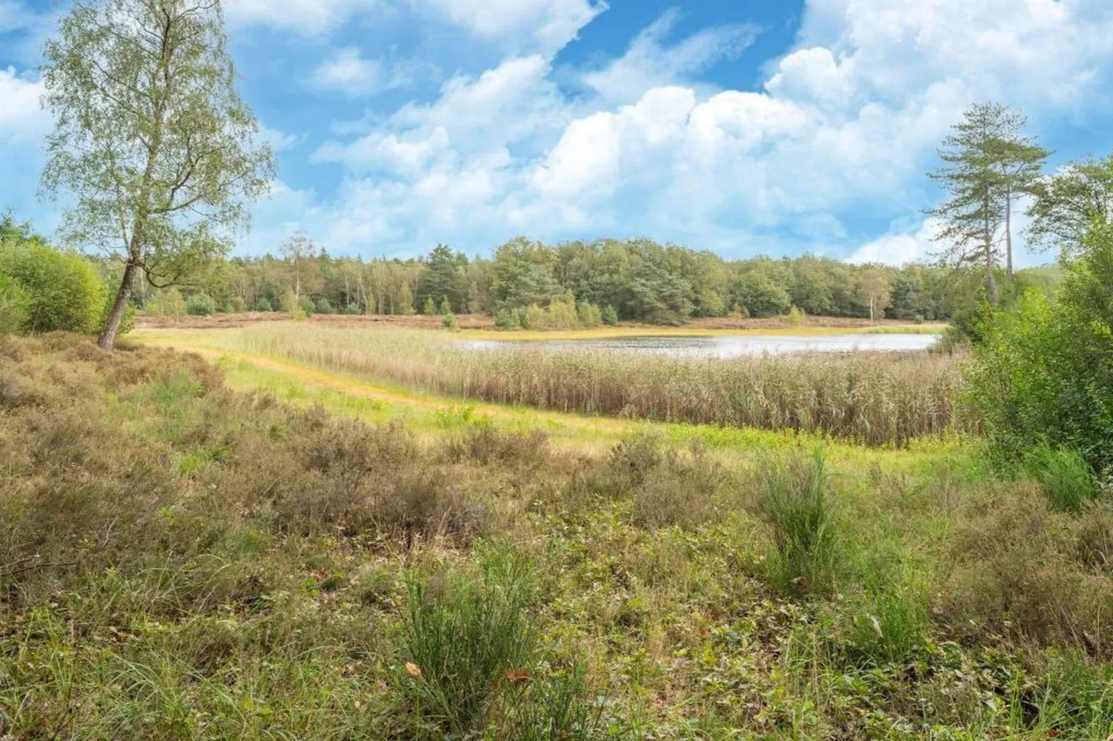 Vakantiepark Horsetellerie 1-Zones été à 20 km