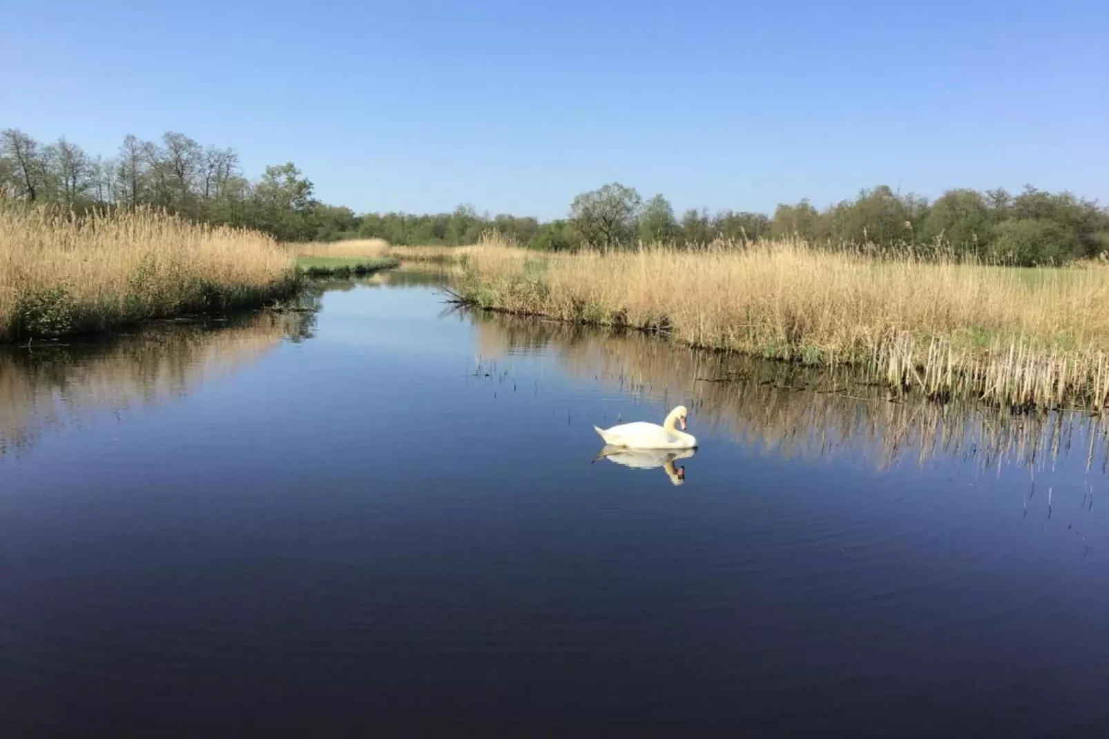 Waterpark Belterwiede 1-Areas summer 20km