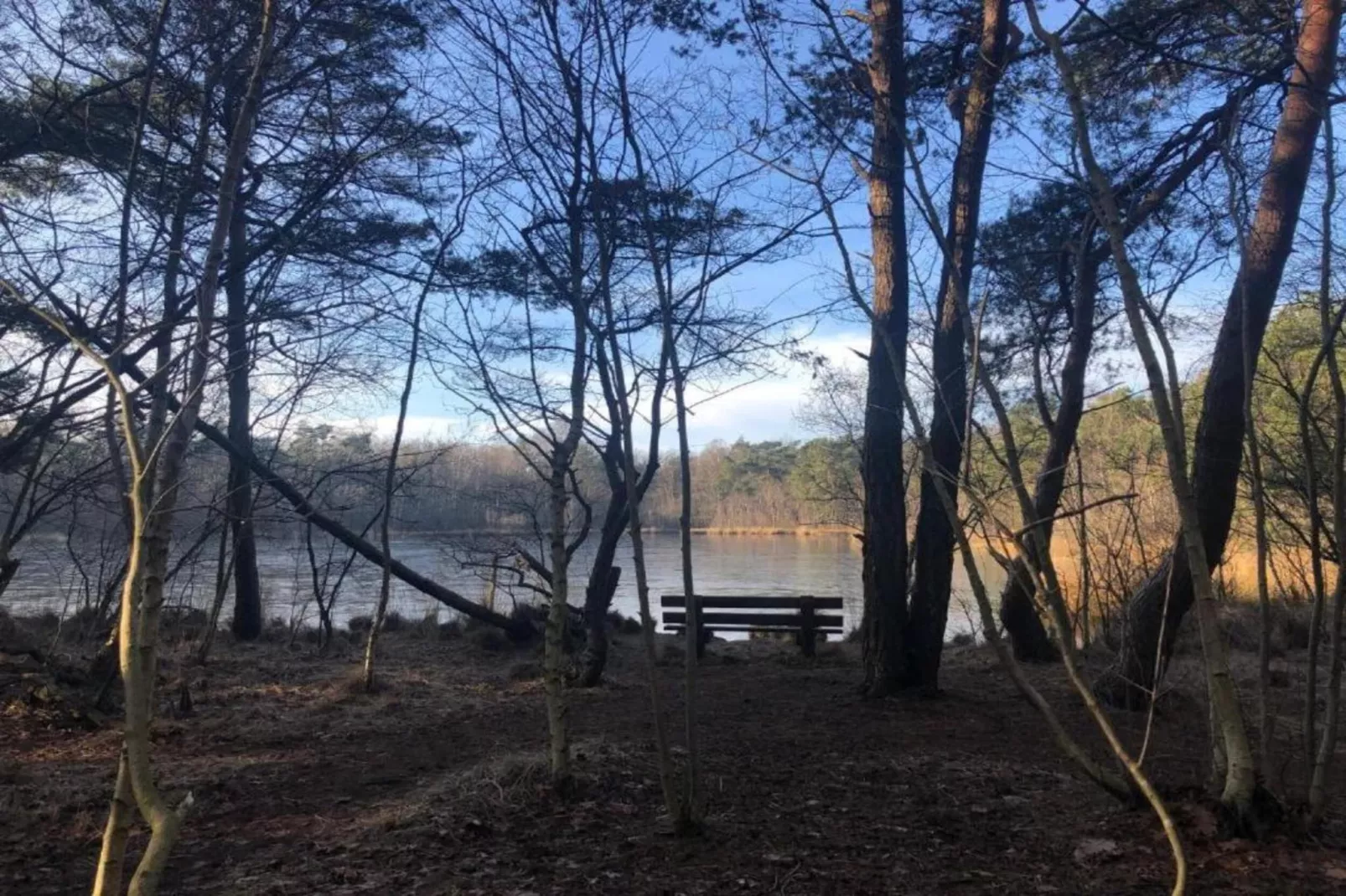 Vakantiepark de Vossenburcht 2-Areas within 20km in summer