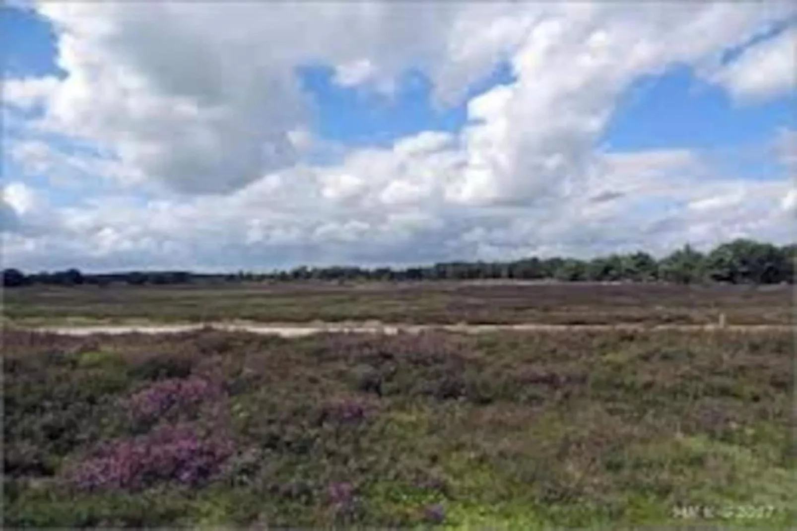 RCN Vakantiepark de Noordster 4-Gebiete Sommer 20 km