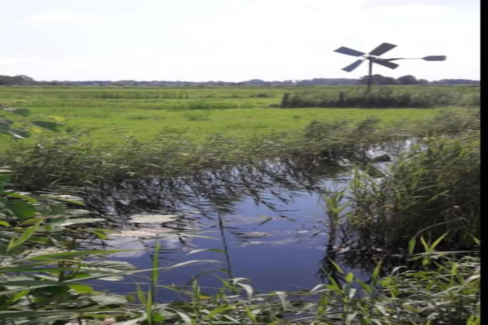 Aan de dwarsgracht-Areas within 20km in summer