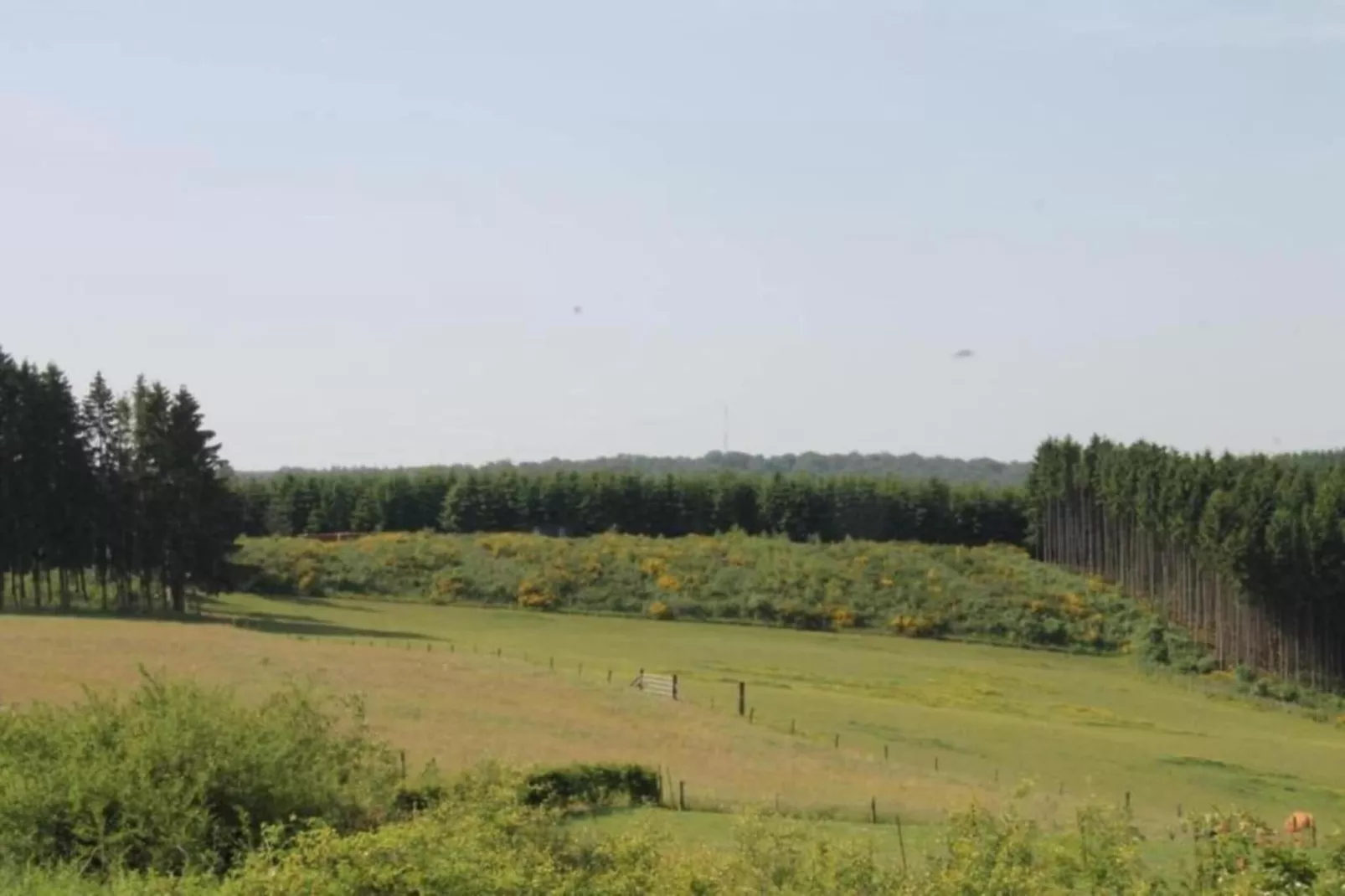 Villapark De Weerribben 3-Areas within 5km in summer