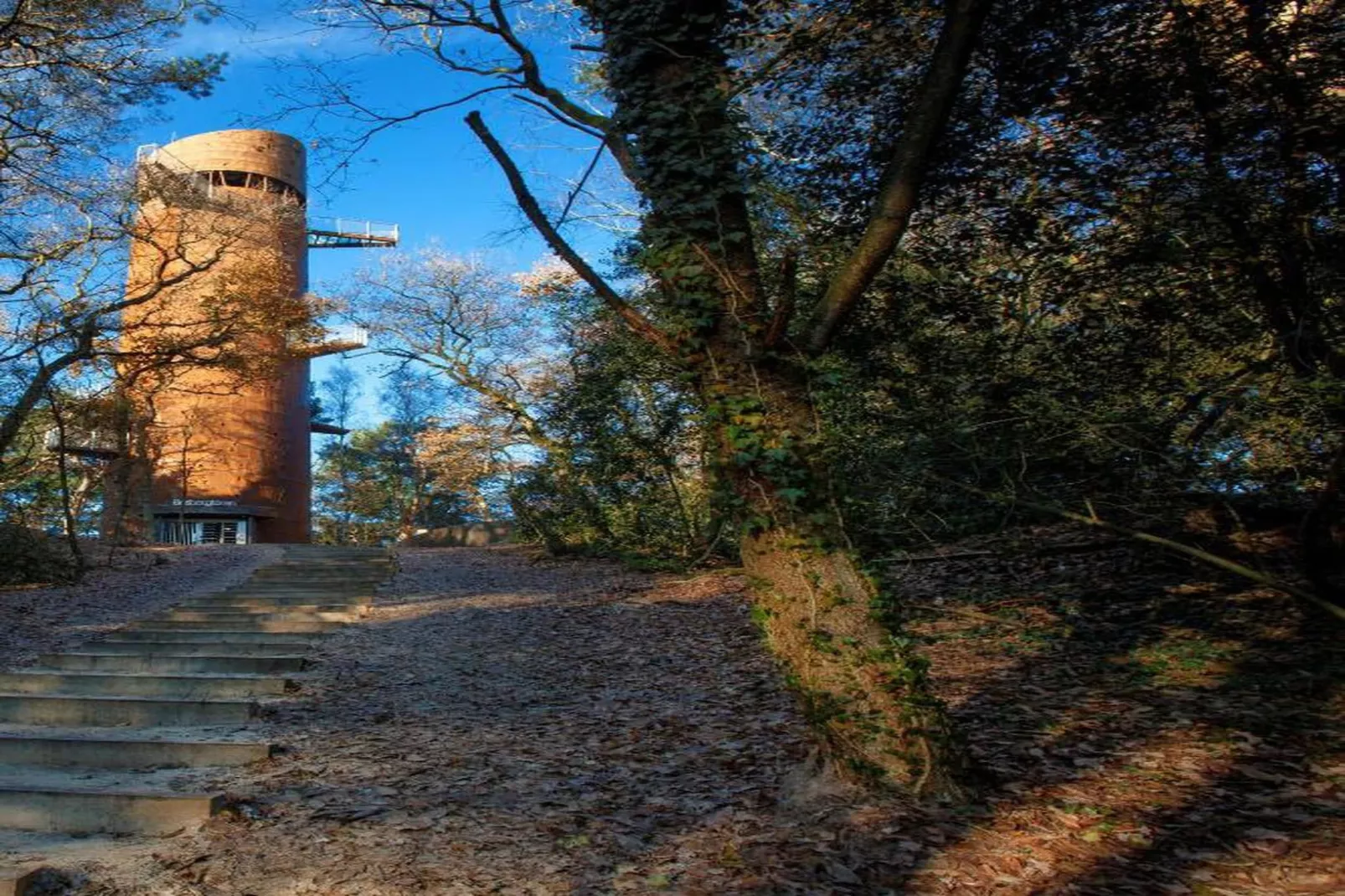 RCN Vakantiepark de Roggeberg 11-Areas within 20km in summer