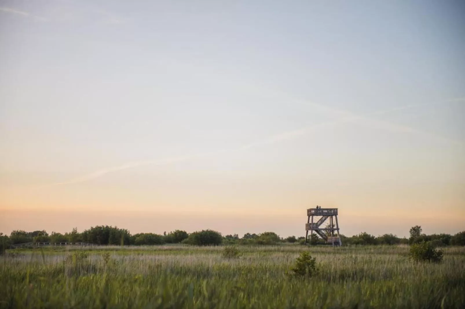 Haulervaart-Areas within 20km in summer