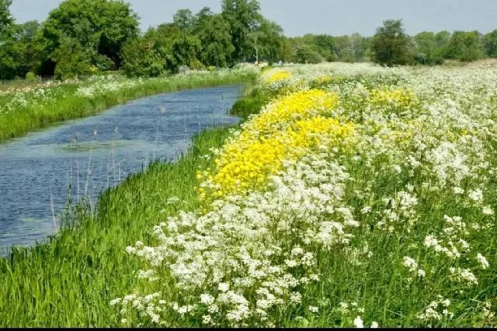 Friese Meren Villa's 7-Areas within 20km in summer