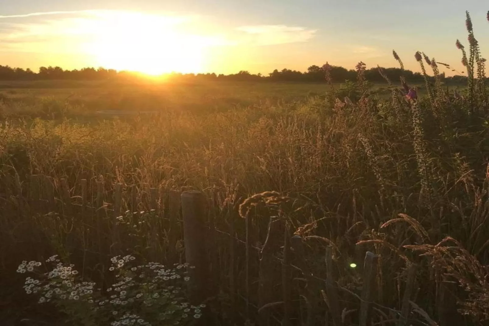 Chalet Klaske-Areas within 20km in summer