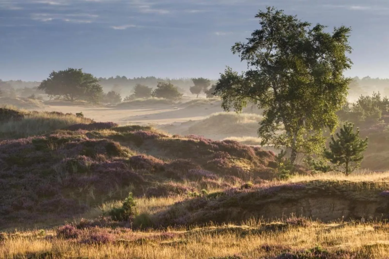Bospark Lunsbergen 2-Areas within 20km in summer