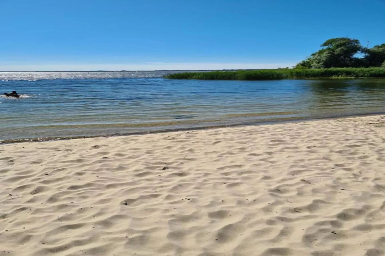 Kreacja Pajka Patrycja Pyrka-Areas within 20km in summer